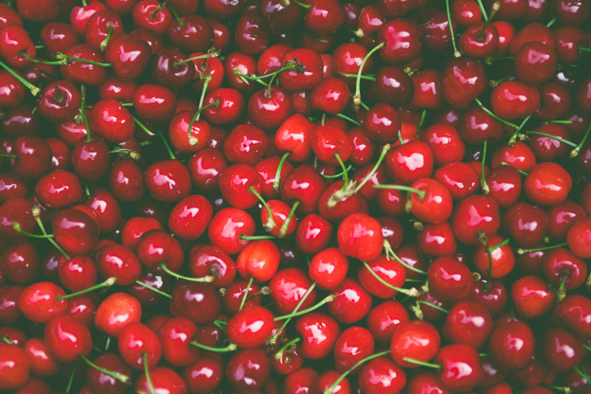 A pile of tart cherries