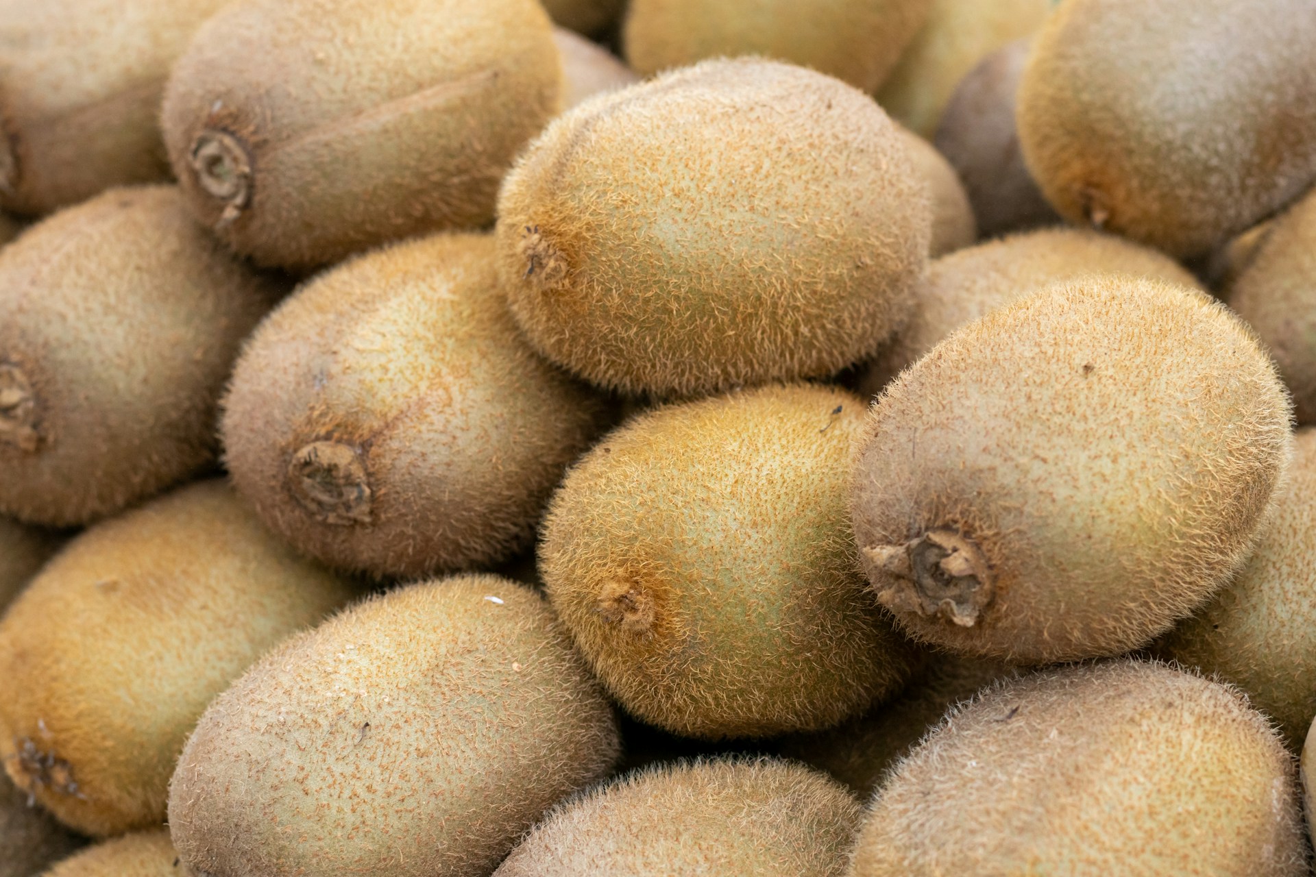 A pile of kiwi fruits