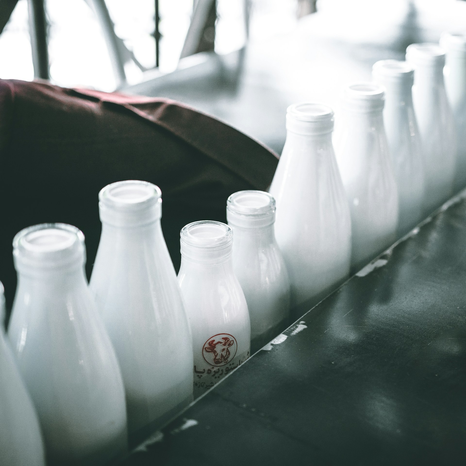 Ten bottles of milk lined upp in a factory